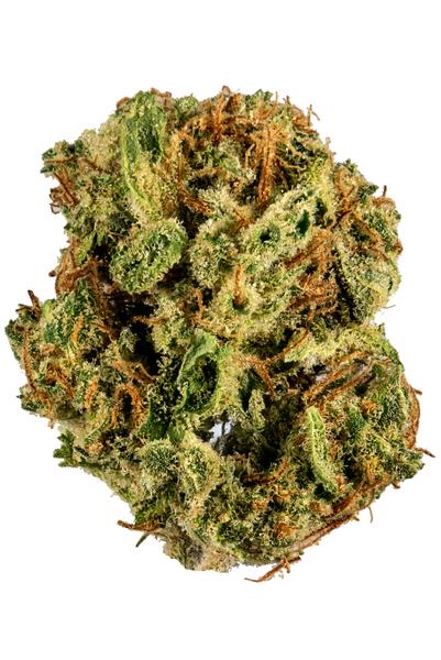 Gumbo - Indica Cannabis Strain