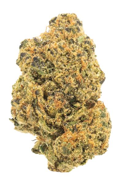 Gush - Hybrid Cannabis Strain