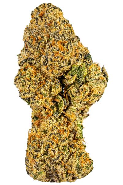 Gushers - Hybrid Cannabis Strain