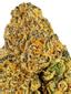 Gushers Hybrid Cannabis Strain Thumbnail
