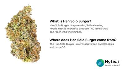 Han Solo Burger - Hybrid Strain
