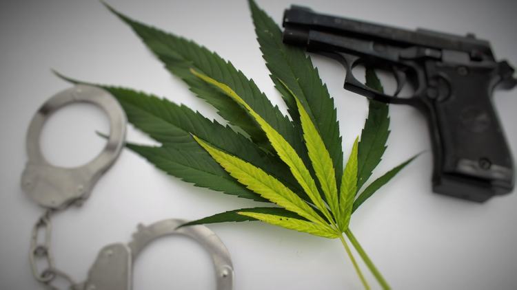 Ban on Cannabis Owners Bearing Arms found Unconstitutional