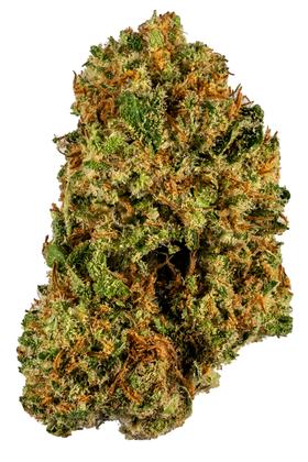 Harlequin - Sativa Cannabis Strain