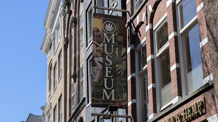 Five Cannabis Museums to Visit Around the World
