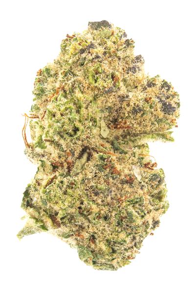 Hashbar OG - Hybrid Cannabis Strain