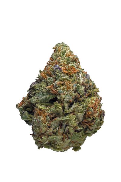 Hashwreck - Hybrid Cannabis Strain