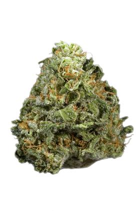 Hawaiian Cookies - Hybrid Cannabis Strain