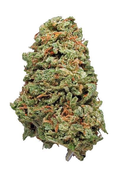 Hawaiian Haze - Sativa Cannabis Strain