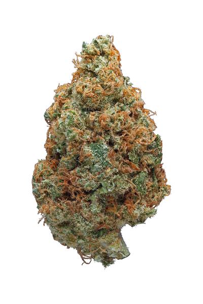 Hawaiian Punch - Sativa Cannabis Strain