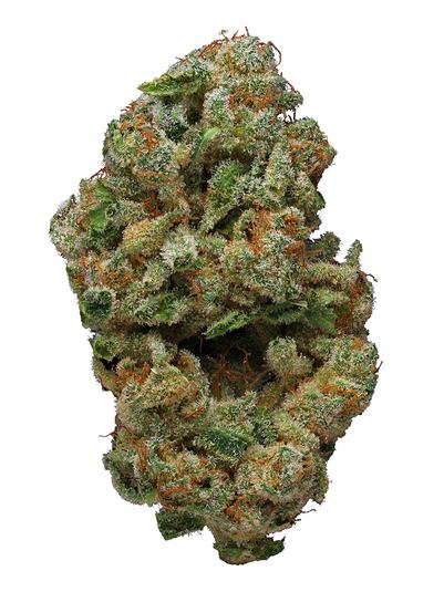 Hawaiian Sativa - Sativa Cannabis Strain