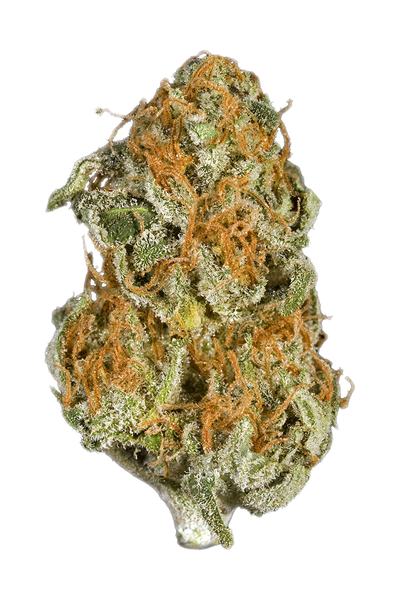 Hawaiian - Sativa Cannabis Strain