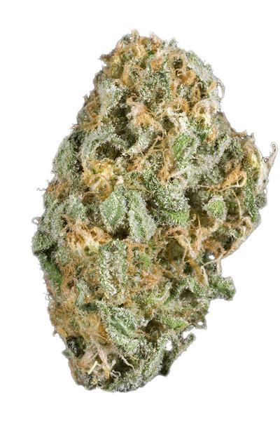 Hawgs Banana - Hybrid Cannabis Strain