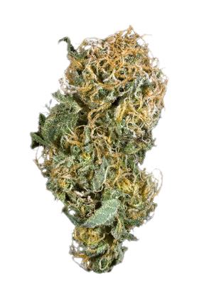Hawgs Kush - Hybrid Cannabis Strain