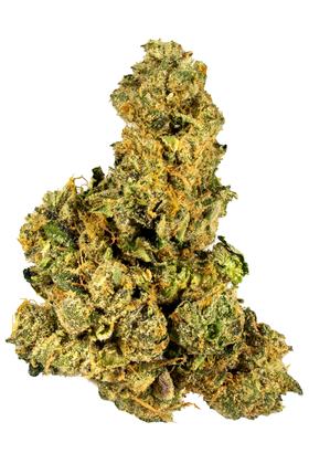 Hazmat - 混合物 Cannabis Strain