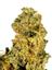 Hazmat Hybrid Cannabis Strain Thumbnail