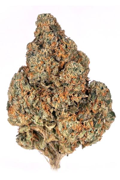 Head Cheese - Híbrido Cannabis Strain