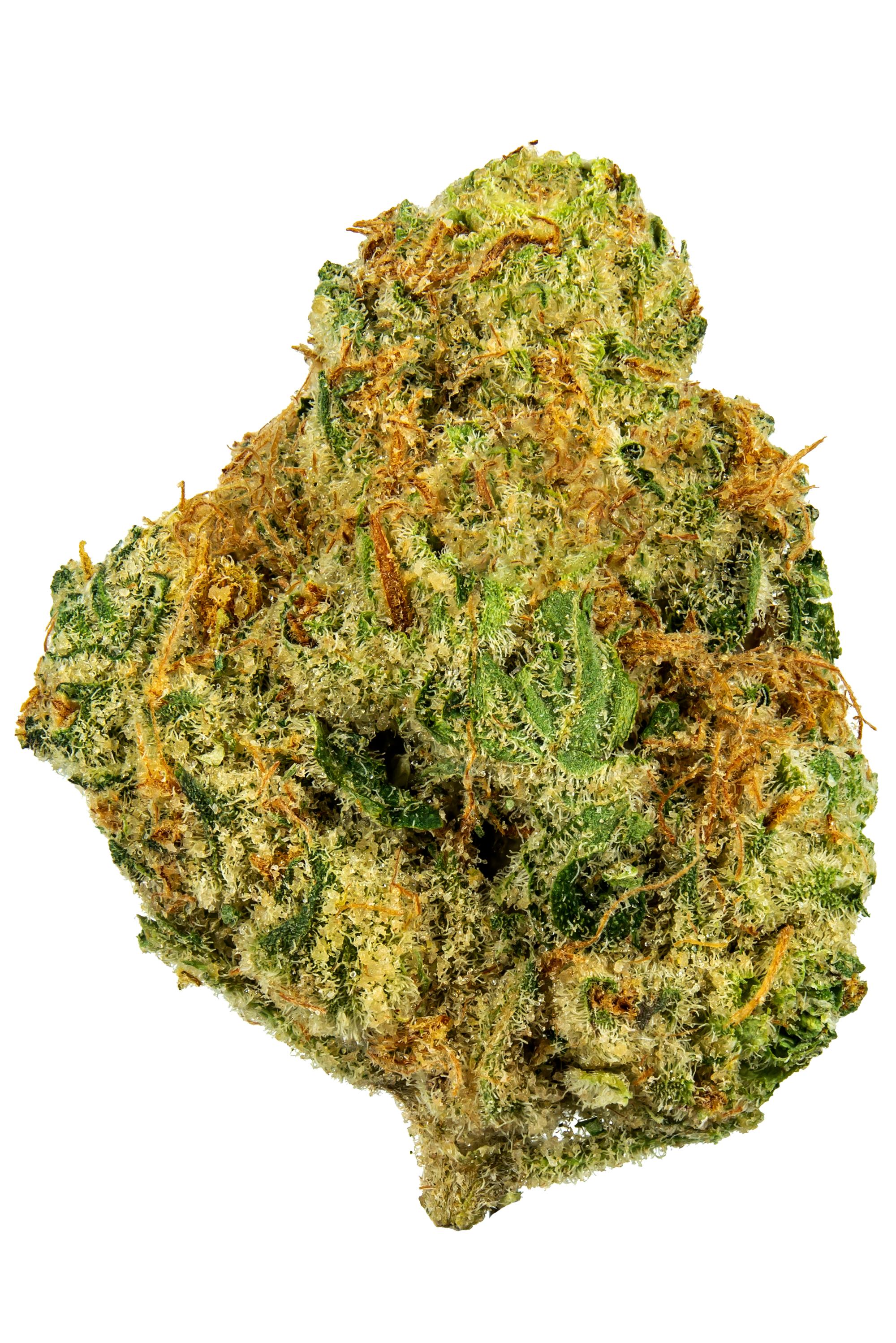 Headband Cookies - Hybrid Cannabis Strain