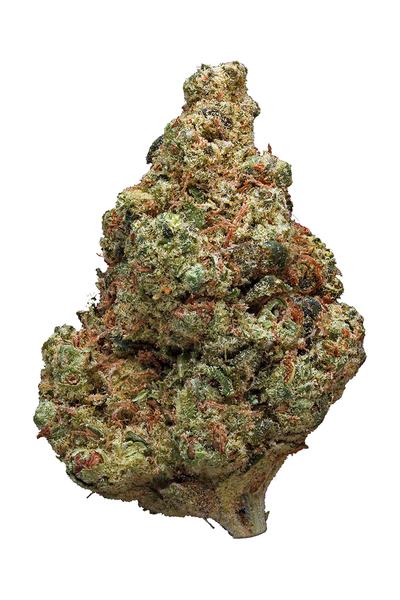 Headbanger - Hybrid Cannabis Strain