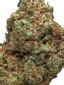 Headbanger Hybrid Cannabis Strain Thumbnail