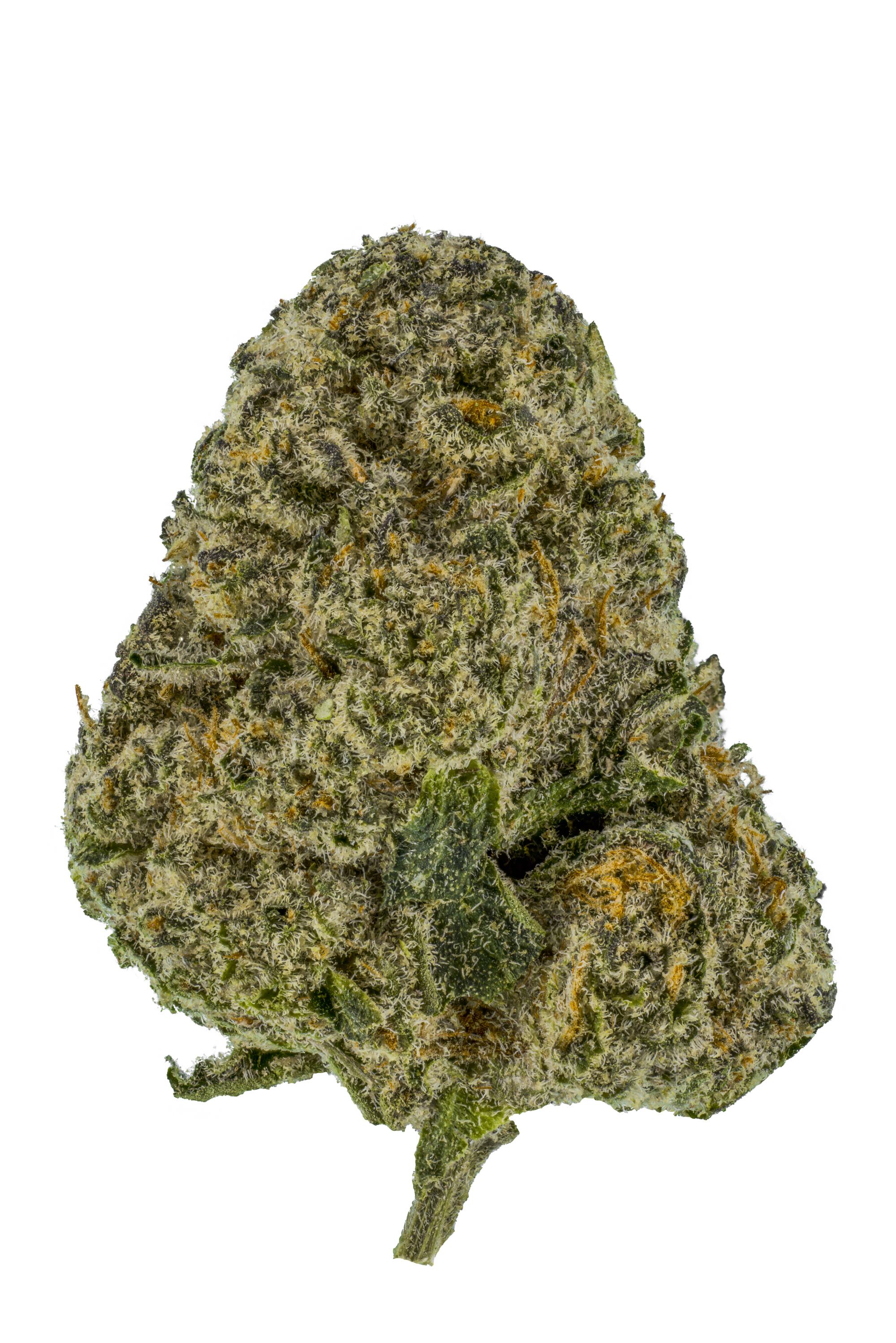 Headhunter Cannabis Strain Bud