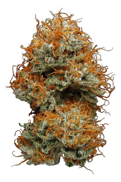 Hellfire OG - Híbrido Cannabis Strain