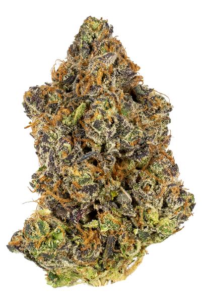 Hell's Bells - Híbrida Cannabis Strain