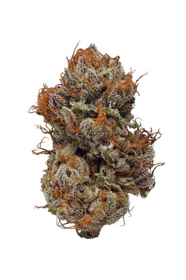Hemlock - Hybrid Cannabis Strain