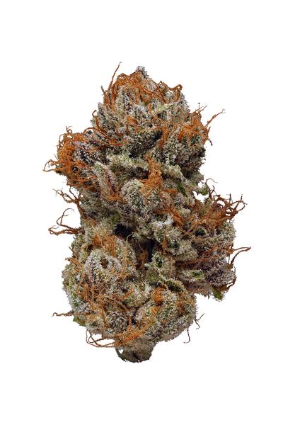 Hemlock - Híbrida Cannabis Strain