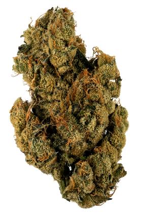 Hendo Cream - Híbrida Cannabis Strain