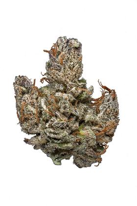 Hindu Kush - Indica Cannabis Strain