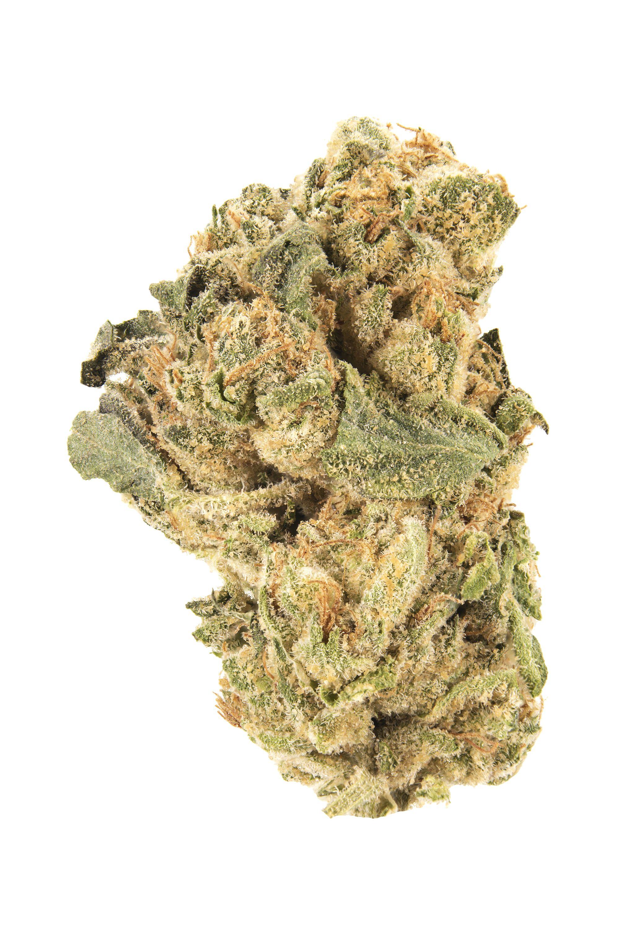 Hippie Mints Cannabis Strain Bud
