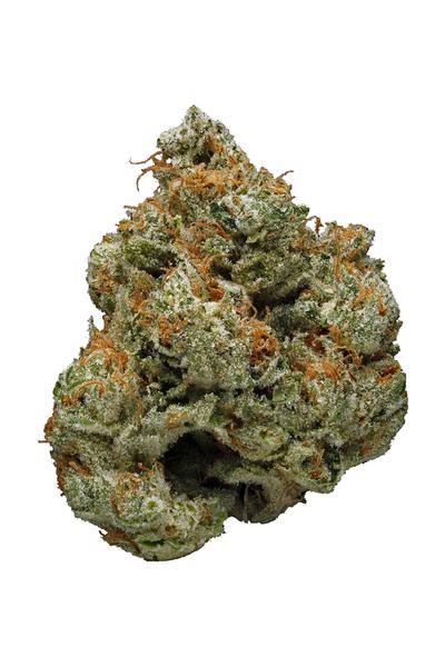 Hog's Breath - Indica Cannabis Strain