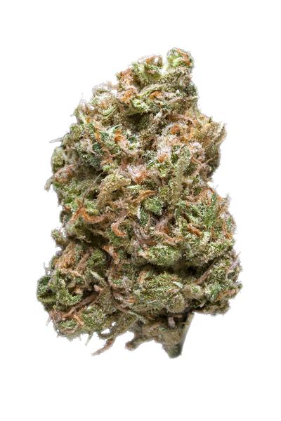 Hogzilla - Híbrida Cannabis Strain
