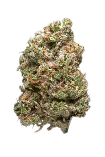 Hogzilla - Hybrid Cannabis Strain