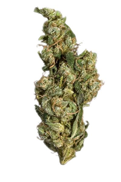 Holland's Hope - Indica Cannabis Strain