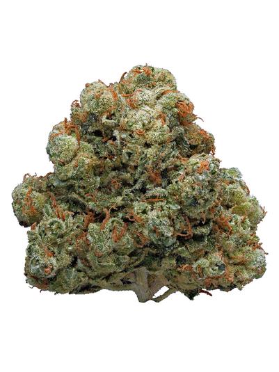 Hollywood OG - Hybride Cannabis Strain