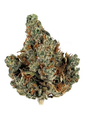 Holy Grail - Hybrid Cannabis Strain