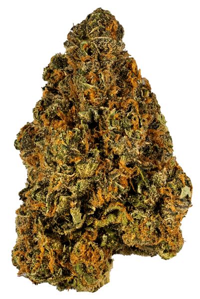 Homie's Choice - Hybrid Cannabis Strain