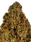 Homie's Choice Hybrid Cannabis Strain Thumbnail