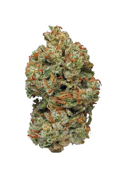 Honeypot - Híbrida Cannabis Strain