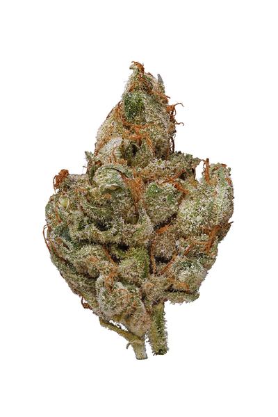 Hurricane - Híbrido Cannabis Strain