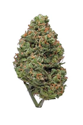 Hustler Kush - Hybrid Cannabis Strain