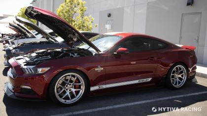 The Ford Mustang Shelby Super Snake - The Snake That Bites Back The Ford Mustang Shelby Super Snake - The Snake That Bites Back