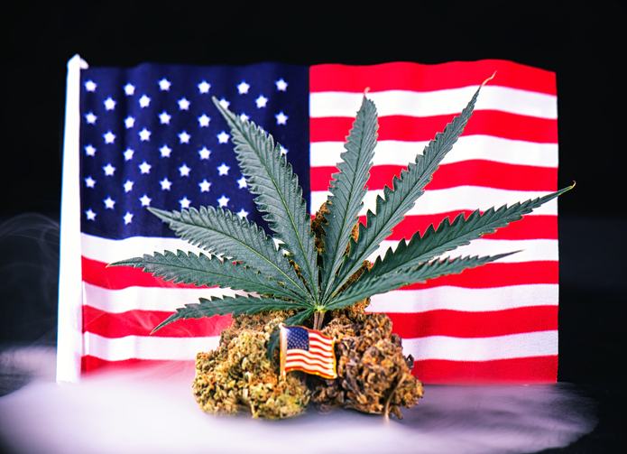5 Ways Veterans Can Use Cannabis to Improve Quality of Life 