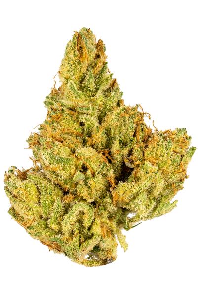 I95 Chem - Hybrid Cannabis Strain
