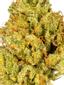 I95 Chem Hybrid Cannabis Strain Thumbnail