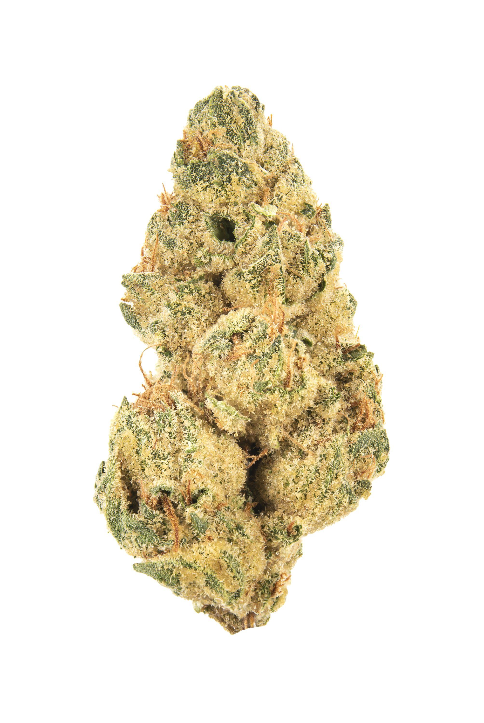 I-95 Cookies Cannabis Strain Bud