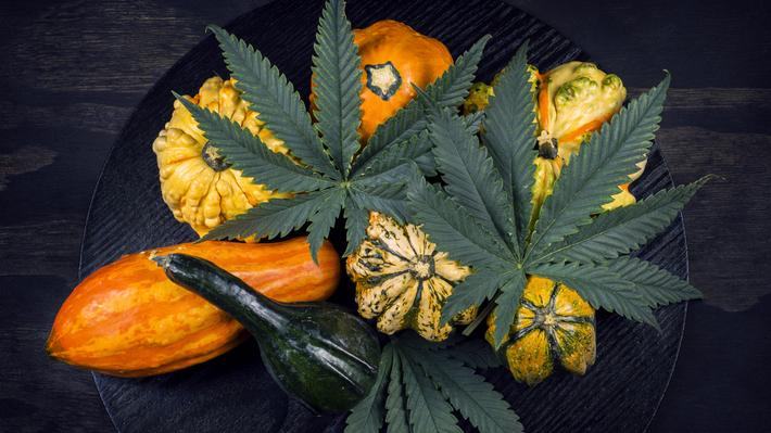 Use Cannabis to Stimulate Your Appetite in Vegas for a Thanksgiving Feast