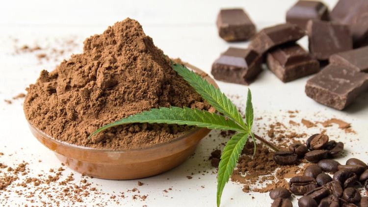 DIY: Cannabis-Infused Milk Chocolate