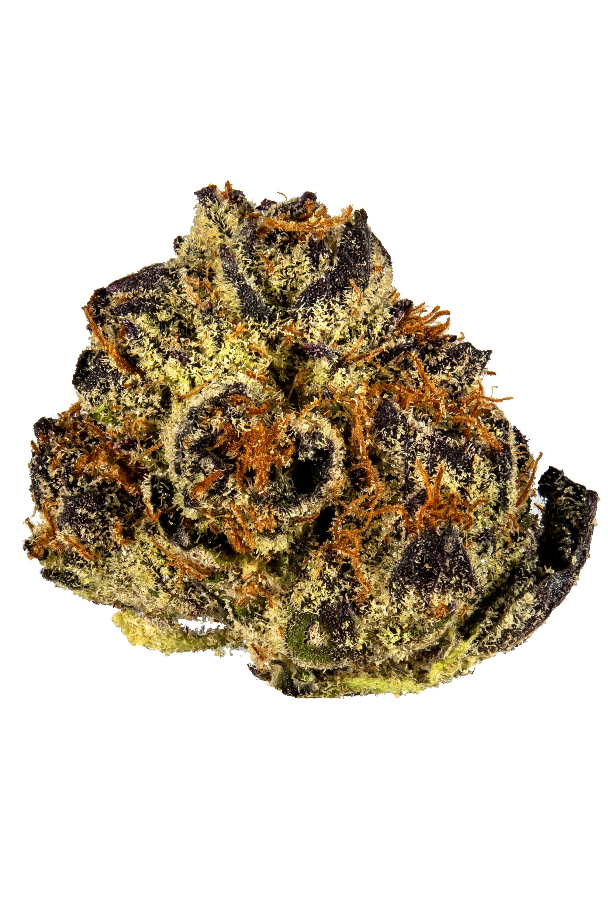 ice cream cake strain hytiva hybrid smell taste cannabis